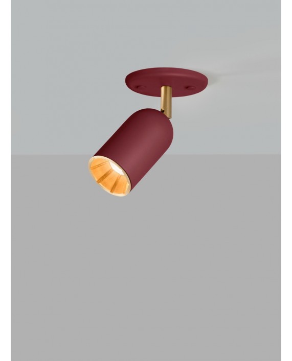 Bert Frank Doma Colourway Spotlight Ceiling Lamp